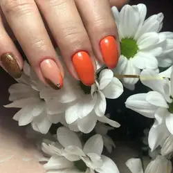 Тетяна Корабельська