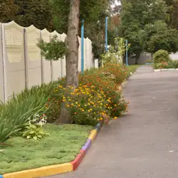 Веселка