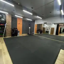 Phoenix Circus Studio — Київ