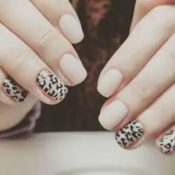 Nadin — Коломыя