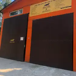 Gas lion