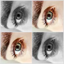Pobidinska_brows