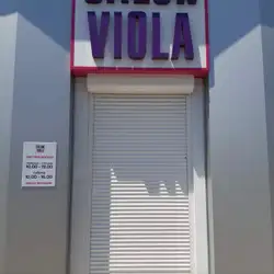 Viola