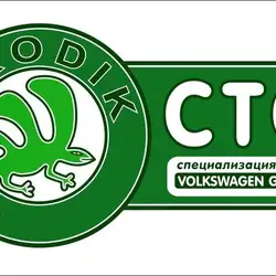СТО Skodik