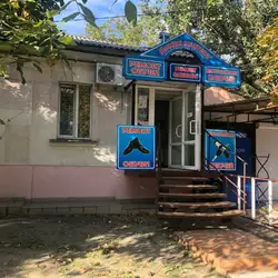 Домік Майстра - Вадима Благовісного, 18, Миколаїв