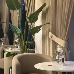 Louis — Ровно