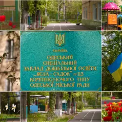 #113 С ЯСЛЯМИ, СПЕЦИАЛЬНОЕ КОМПЕНСИРУЮЩЕГО ТИПА ДУЗ