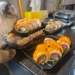 Sushi Cats — Київ