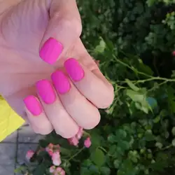 У Алли
