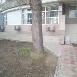 Ноілс — Днепр