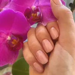 Анна — Одесса