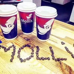 Mollis Coffee