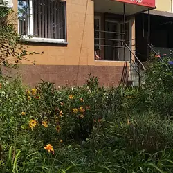 Каприз