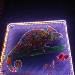 Zebra Lounge — Киев