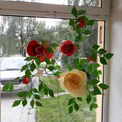 Афродіта — Черновцы