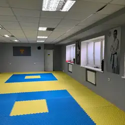 Champion Karate Club - Суми, Гетьмана Павла Скоропадського