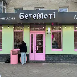 Бегемоті — Ровно