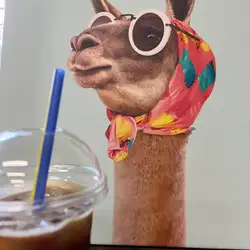 Lama Kava