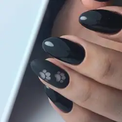 Анна — Житомир