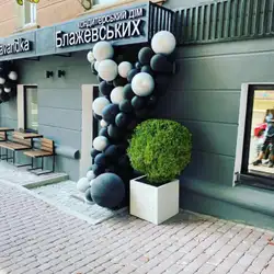 Скаварідка