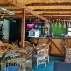 All Music Bar
