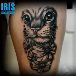 Iris