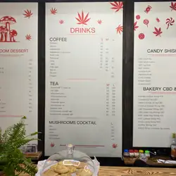 CANNABIS TEMPLE KROP