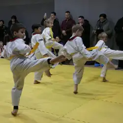 Клуб тхеквондо HWA RANG - Північна