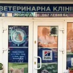 Вуса-Лапи-Хвіст