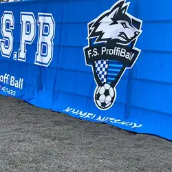 FS ProffiBall