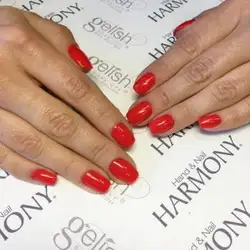 Nail Harmony Ukraine