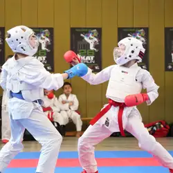 Karate Club Union - Винники