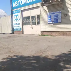 Єнот