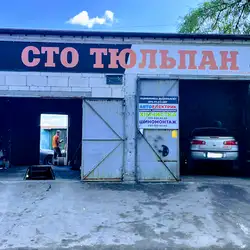Тюльпан