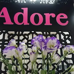 Adore - Дудинської
