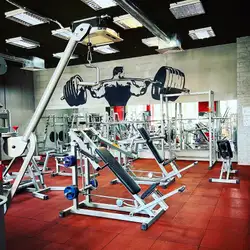 Stay Fit