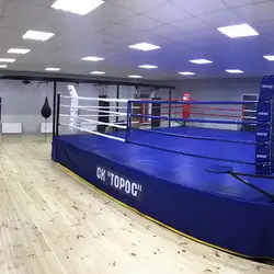 ТОРОС