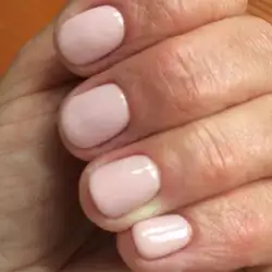 Honey Hands — Київ