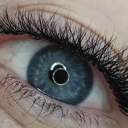 Lash Anytkabest