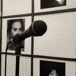Nadin Vocal studio