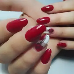 Алла Вовк