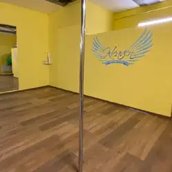 Pole dance studio Sunny Heaven - Кирилівська