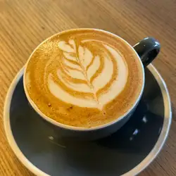 My sense coffee food
