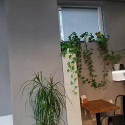 Corner Cafe — Киев
