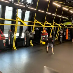 Fight Academy