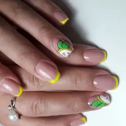 Лапки - Академіка Вільямса — Одесса