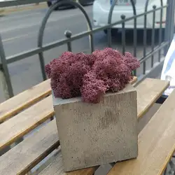 Клуб кави