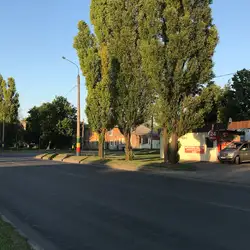 Невролог Ксенія Олегівна Песоцька