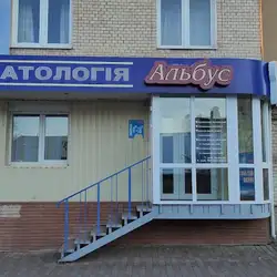 Альбус