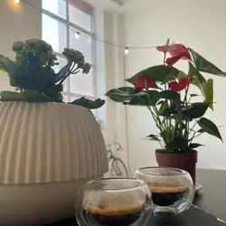SOLFERINO — Киев